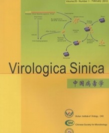 中国病毒学杂志投稿