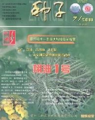 种子