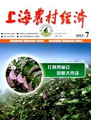 上海农村经济杂志社投稿