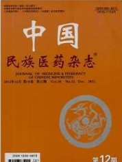 中国民族医药杂志