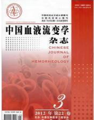 中国血液流变学杂志