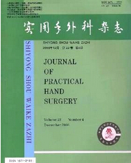 实用手外科杂志