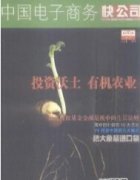 中国电子商务杂志论文
