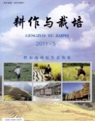 耕作与栽培