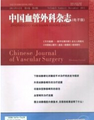 中国血管外科杂志·电子版
