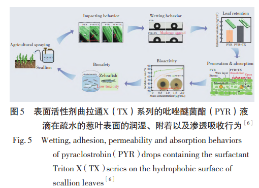 表 面活性剂曲拉通X（TX）系列的吡唑醚菌酯（PYR）液 滴在疏水的葱叶表面的润湿、附着以及渗透吸收行为