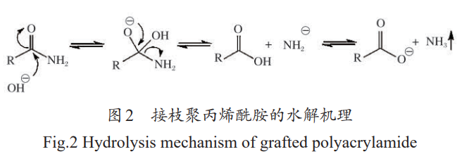 接枝聚丙烯酰胺的水解机理