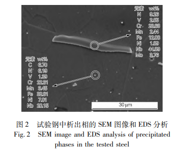 试验钢中析出相的SEM图像和EDS分