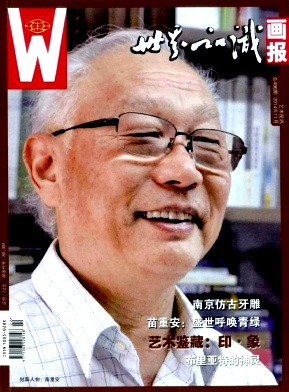 《世界知识画报》期刊论文