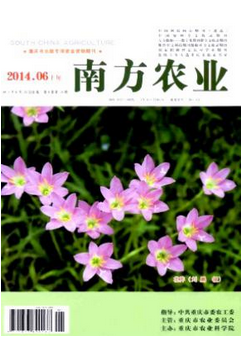 南方农业