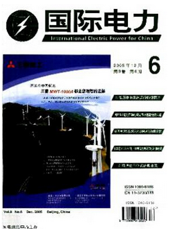 国际电力