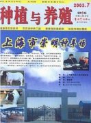 基层畜牧养殖如何管理