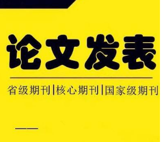 论文发表